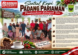 Sentral Kopi Padang Pariaman: Pembenahan Kelompok Tani sebagai Fondasi Kemajuan