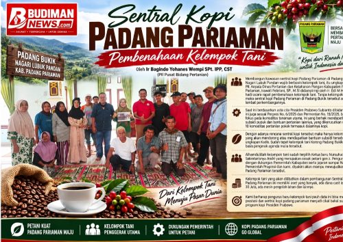 Sentral Kopi Padang Pariaman: Pembenahan Kelompok Tani sebagai Fondasi Kemajuan