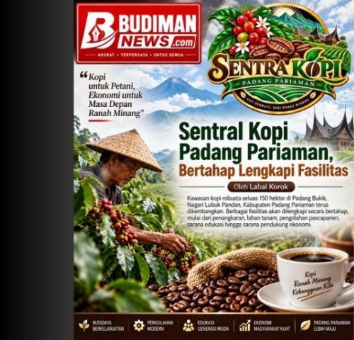 Sentra Kopi Padang Pariaman, Bertahap Lengkapi Fasilitas