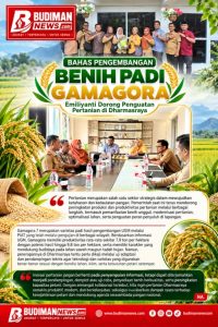 Bahas Pengembangan Benih Padi Gamagora, Emilayanti Dorong Penguatan Pertanian Dharmasraya