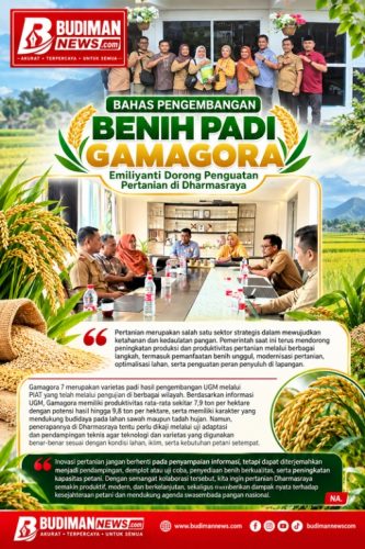 Bahas Pengembangan Benih Padi Gamagora, Emilayanti Dorong Penguatan Pertanian Dharmasraya