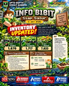 Stok Bibit Diperbarui, UPTD BSPTH Dishut Sumbar Siapkan Ribuan Bibit untuk Penghijauan